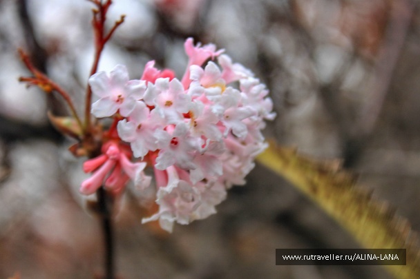 photo 1323549