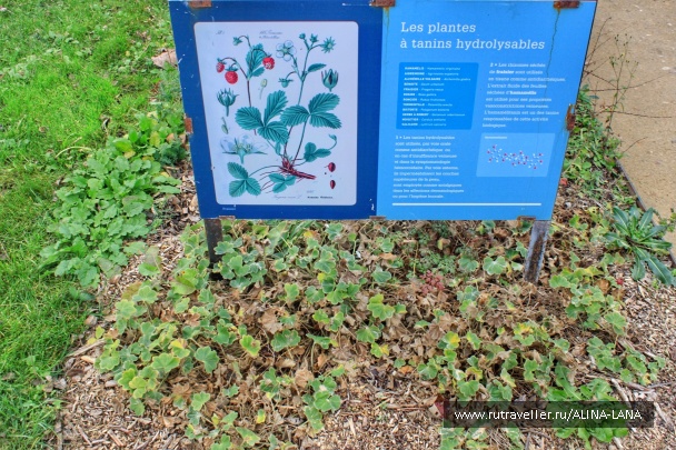 photo 1323551