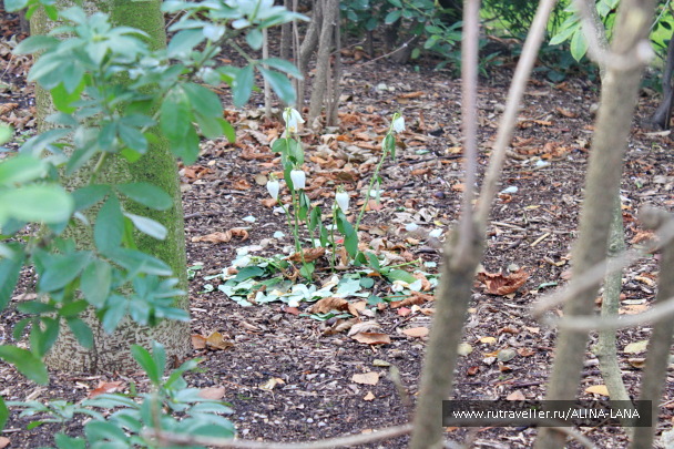 photo 1360471