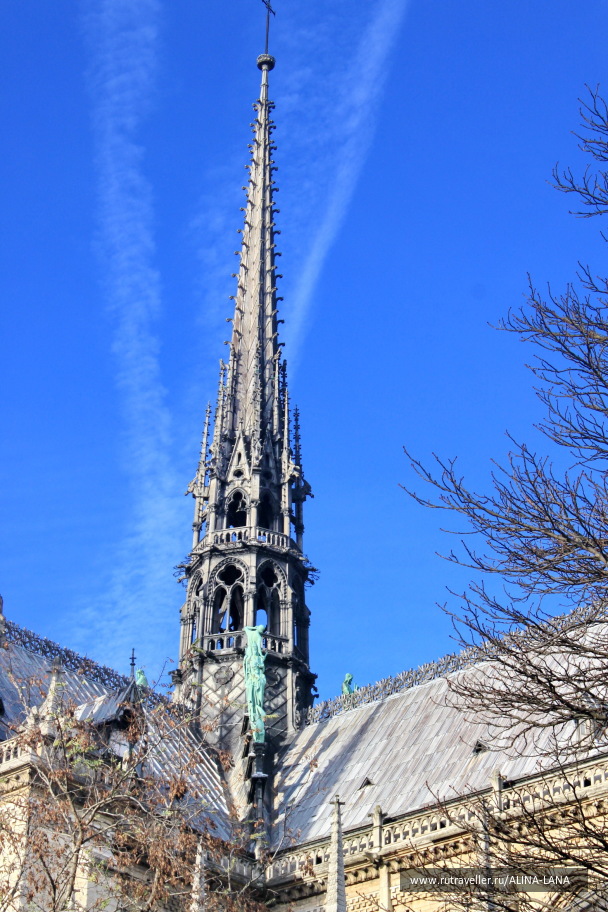 photo 1374711