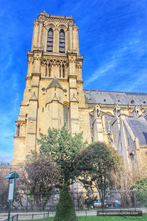 photo 1374716