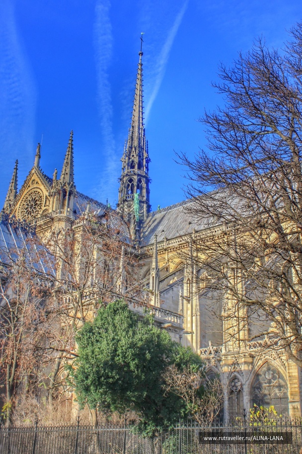photo 1431739