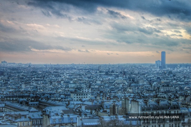 photo 1441993
