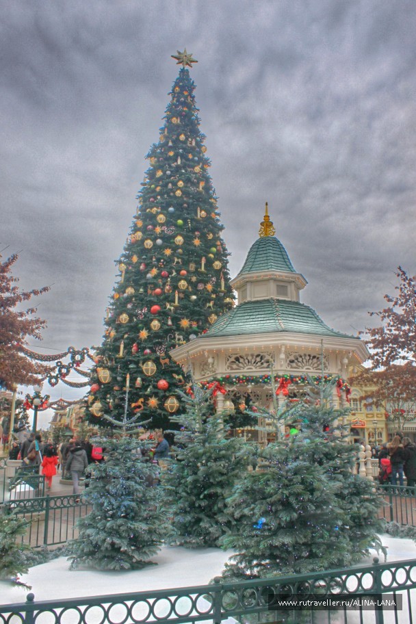 photo 1212893