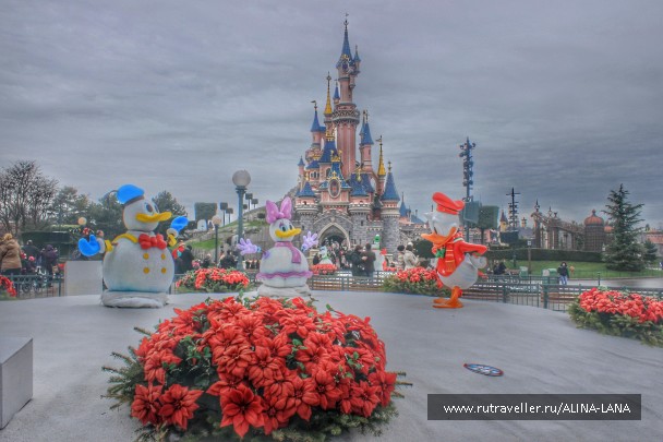 photo 1227134