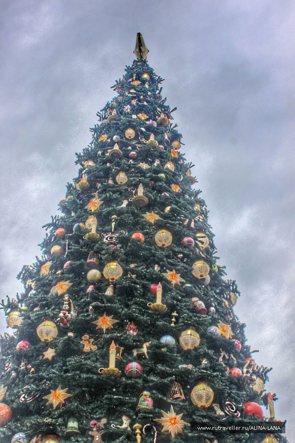 photo 1230122