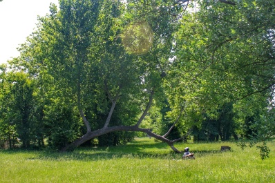 photo 1158667