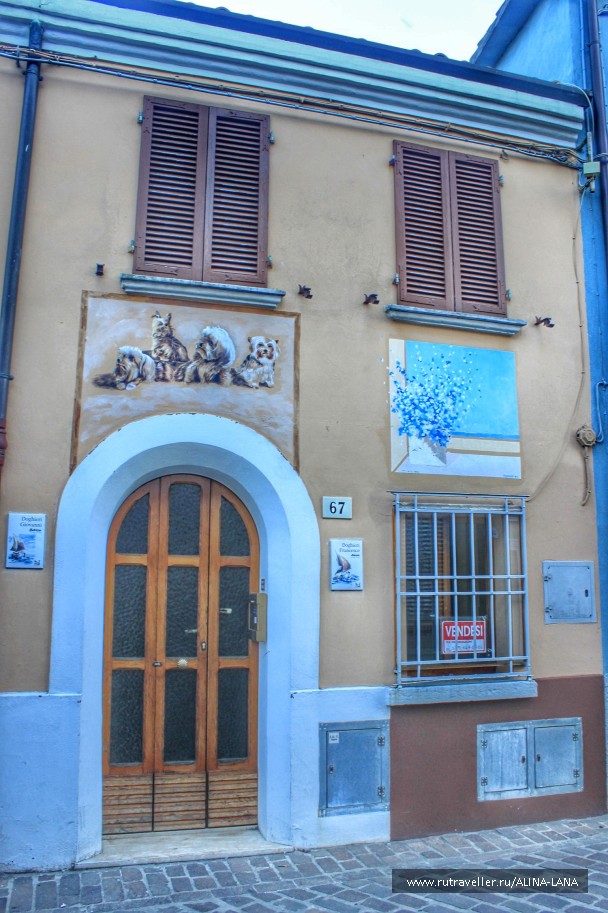 photo 1227782