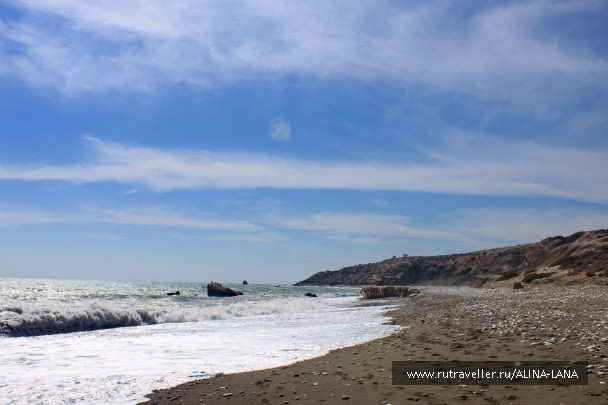 photo 1316724