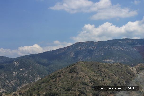 photo 1317610