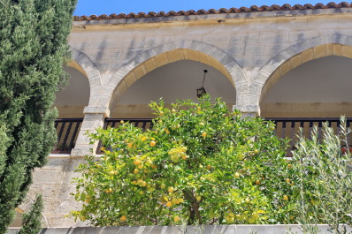 photo 1318735