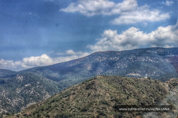 photo 1354181