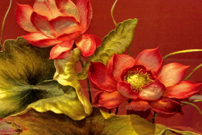 photo 1180377
