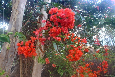 photo 1364648