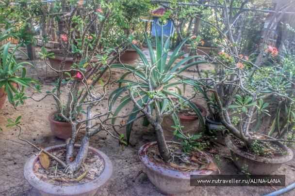 photo 1374725