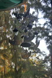 photo 1374729