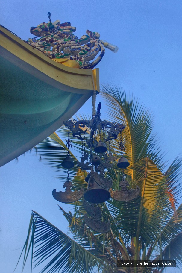 photo 1374730