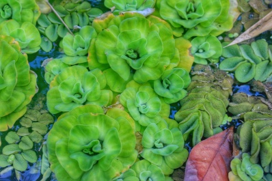 photo 1374731