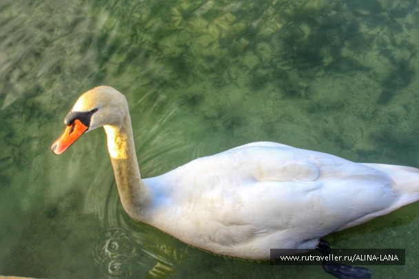 photo 1357424
