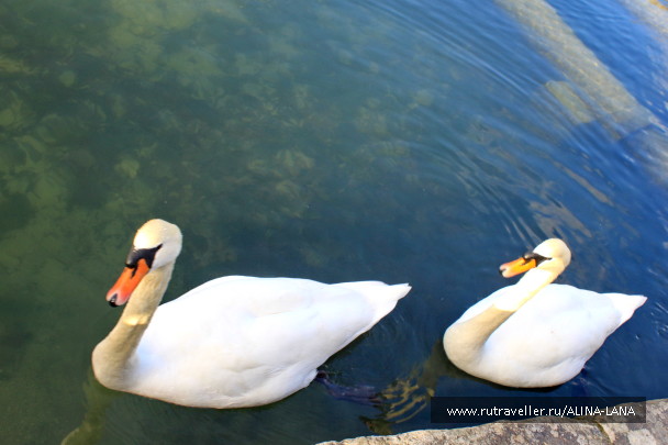 photo 1357425
