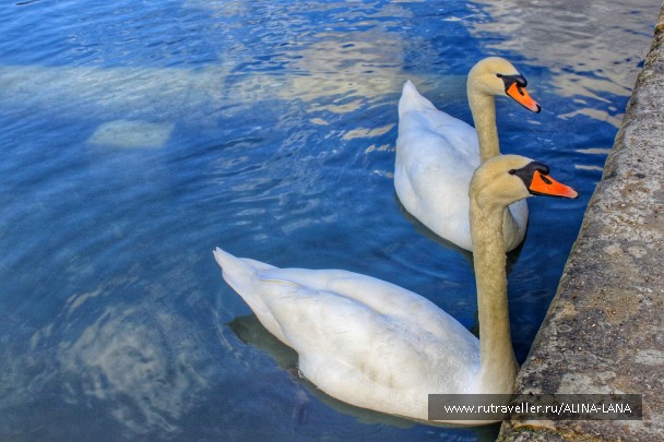 photo 1357426