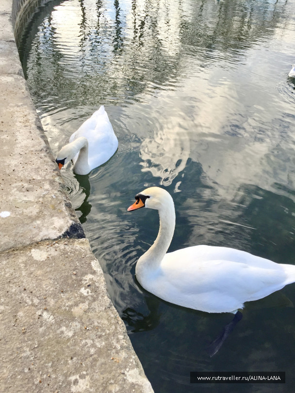 photo 1357427