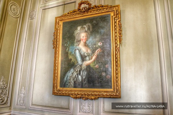 photo 1372857