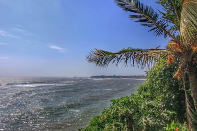 photo 1586766