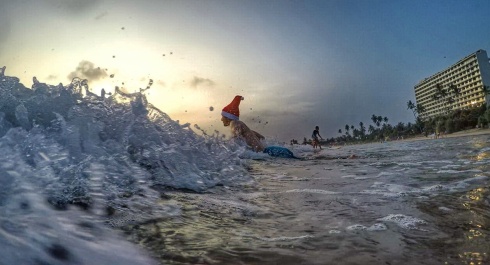 photo 1587113