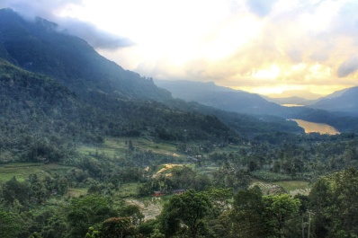 photo 1587327
