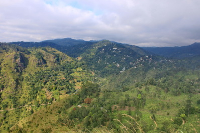 photo 1588726