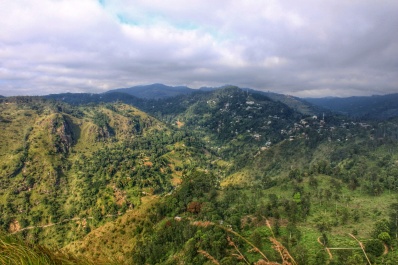 photo 1590425