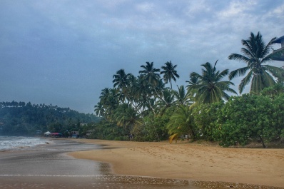 photo 1593515