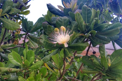 photo 1593518