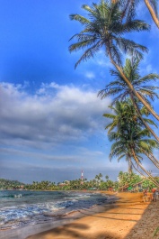 photo 1594762