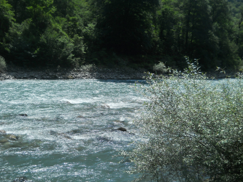 photo 718621
