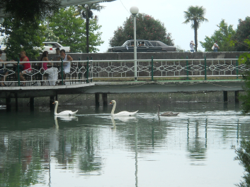 photo 718627