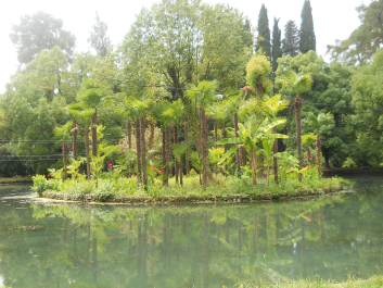 photo 718632