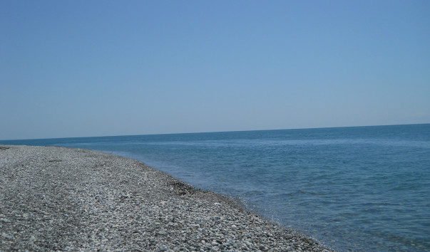 DSCN2823