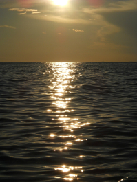 photo 718643
