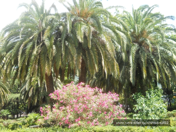 photo 758553
