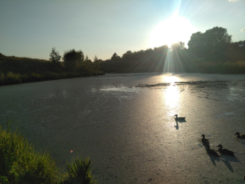 photo 2011225