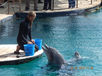 photo 717883