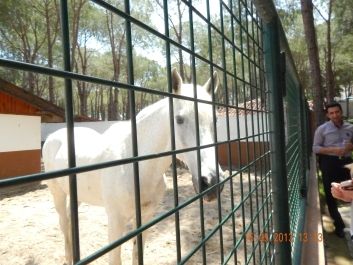 photo 746234