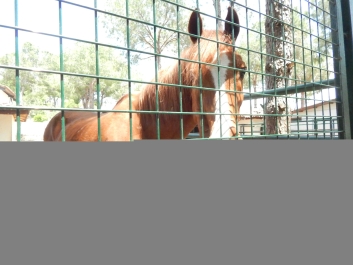 photo 746236