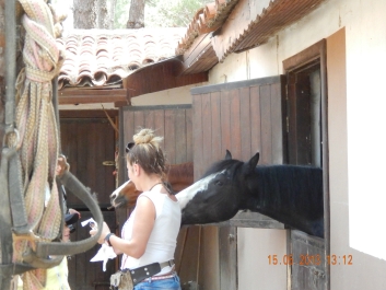 photo 746237