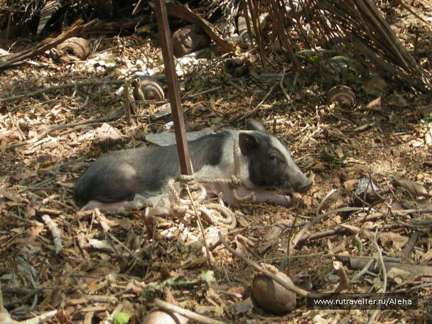 photo 9029