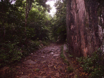 photo 455517