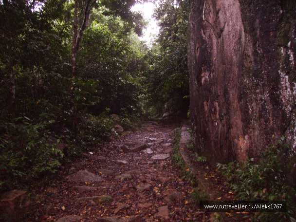 photo 455517