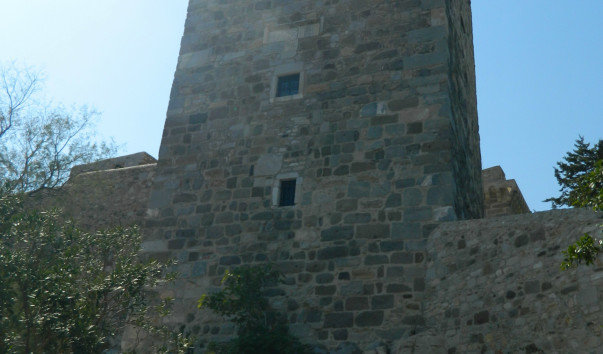DSCN3684